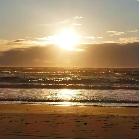 6 Person In Hjorring-by Traum